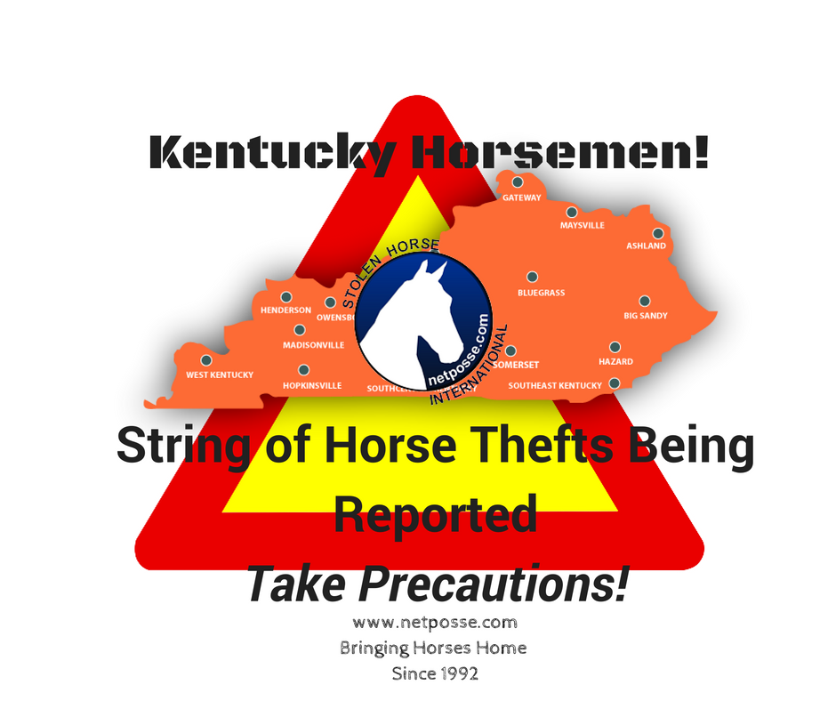 Kentucky Horsemen!.jpg